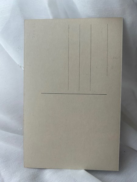 画像2: Postcard    アンティークポストカード　写真　お人形さんと女の子　(未使用) (2)