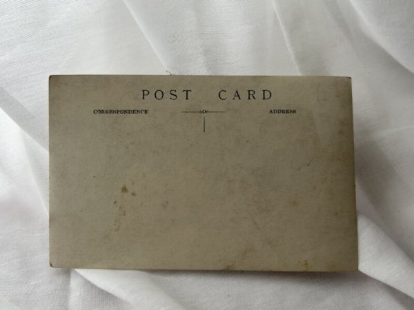 画像3: Postcard    アンティークポストカード 肖像写真 象のぬいぐるみとお人形と女の子 (未使用) (3)