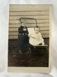 画像1: Postcard    アンティークポストカード　肖像写真　乳母車と小さな子どもたち (1)
