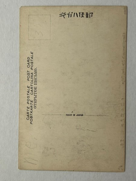 画像2: 手彩色絵葉書　東京　江戸川の桜花　（明治　大正　戦前） (2)