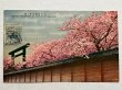 画像1: 古絵葉書　東京　エンタイヤ　10銭切手　九段靖国神社　桜 (1)