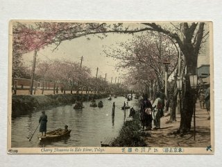 東京手彩色絵葉書 | 永森書店