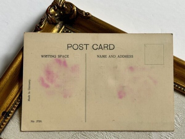 画像8: Postcard  アンティークポストカード　薔薇のお花　観音開き　仕掛け　ベルベッド（未使用） (8)