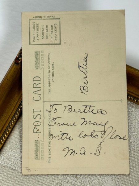 画像5: Postcard  アンティークポストカード　薔薇のお花と田舎の風景　牛　仕掛け　 (5)