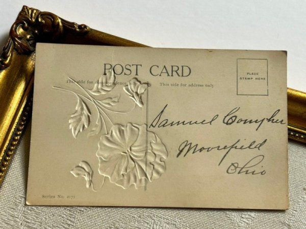 画像5: ▼SALE 500▼ Postcard アンティークポストカード スミレのお花 水辺の風景 船 ブックレット 仕掛け (5)