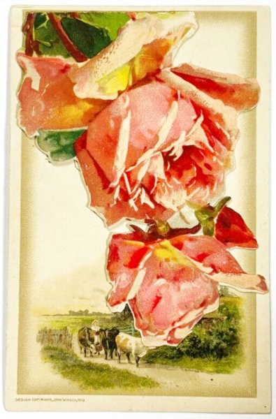 画像1: Postcard  アンティークポストカード　薔薇のお花と田舎の風景　牛　仕掛け　 (1)