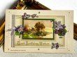 画像2: Postcard  アンティークポストカード　スミレのお花と田舎の風景　ポピー　ブックレット　仕掛け　（未使用） (2)