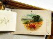 画像7: Postcard  アンティークポストカード　スミレのお花と田舎の風景　ポピー　ブックレット　仕掛け　（未使用） (7)