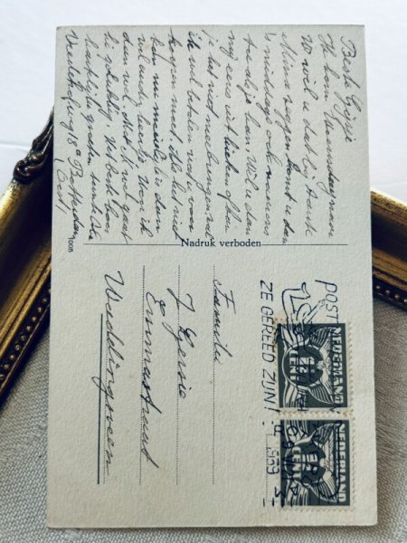 画像3: Postcard   アンティークポストカード  2匹の犬と子どもたち ワイヤーフォックステリア ジャックラッセルテリア オランダ1939年 (3)