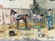 画像3: Postcard  　アンティークポストカード 　木馬のお世話をする子どもたち　イギリス1906年 (3)