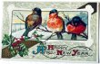 画像1: Postcard　アンティークポストカード　新年祝い　New Year　3羽の小鳥　ロビン (1)