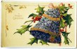 画像1: Postcard　アンティークポストカード　クリスマス　スミレのお花のベル　ホーリー (1)