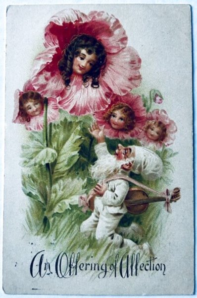 画像1: Postcard　アンティークポストカード　ポピーのお花と妖精　アメリカ1906年 (1)