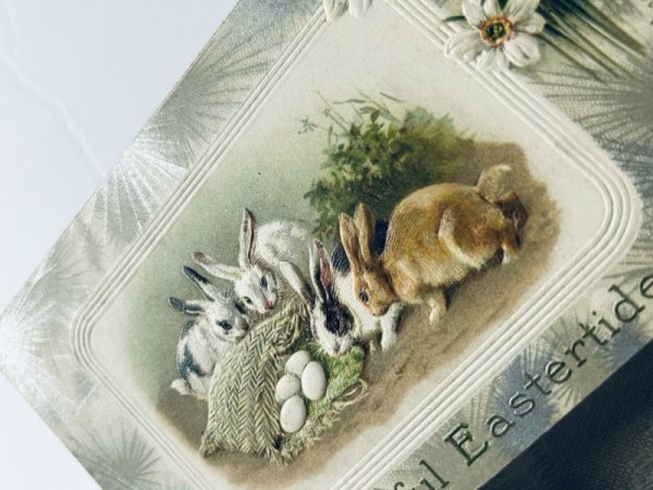 画像3: Postcard アンティークポストカード イースター  ウサギさんとお花 水仙 Ellen Clapsaddle (未使用) (3)