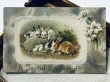 画像2: Postcard　アンティークポストカード　イースター 　ウサギさんとお花　水仙　Ellen Clapsaddle　（未使用） (2)