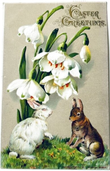 画像1: Postcard　アンティークポストカード　イースター 　スノードロップのお花とウサギさん　アメリカ1908年 (1)