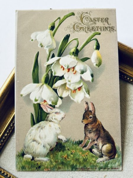 画像2: Postcard アンティークポストカード イースター  スノードロップのお花とウサギさん アメリカ1908年 (2)