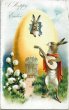 画像1: Postcard　アンティークポストカード　イースター 　マンドリンを弾くウサギさんと卵の家　アメリカ1911年 (1)