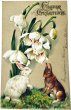 画像1: Postcard　アンティークポストカード　イースター 　スノードロップのお花とウサギさん (1)