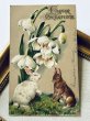画像2: Postcard　アンティークポストカード　イースター 　スノードロップのお花とウサギさん (2)