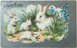 画像1: Postcard　アンティークポストカード　イースター 　白うさぎの家族　ウサギ　ブルーベル　キキョウ　リンドウ (1)