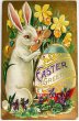 画像1: Postcard　アンティークポストカード　イースター 　卵に絵を描くウサギの画家　スイセン　スミレ　アメリカ1911年 (1)