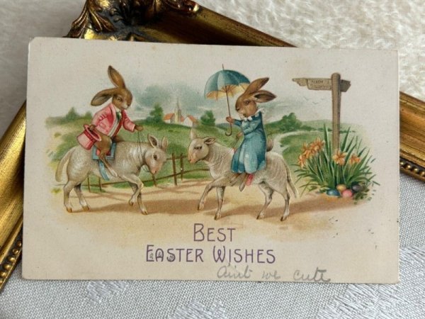 画像2: Postcard アンティークポストカード イースター  羊に乗ったウサギさん 1908年 (2)