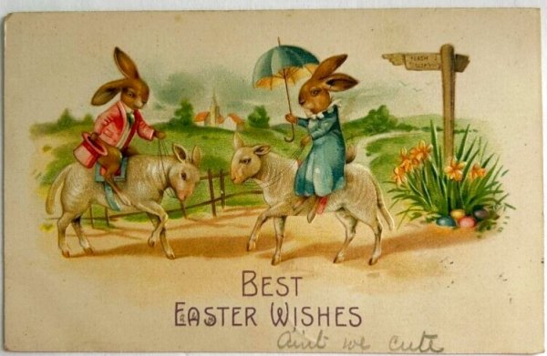 画像1: Postcard　アンティークポストカード　イースター 　羊に乗ったウサギさん　1908年 (1)