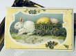 画像2: Postcard　アンティークポストカード　イースター 　荷車で卵を運ぶ白ウサギさん　アメリカ1912年 (2)