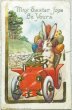 画像1: Postcard　アンティークポストカード　イースター 　自動車で卵を運ぶウサギさん (1)