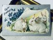 画像2: Postcard　アンティークポストカード　イースター 　白ウサギさんとスミレのお花 (2)