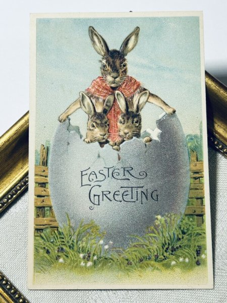 画像2: Postcard アンティークポストカード イースター  卵の中のウサギの親子 (未使用) (2)