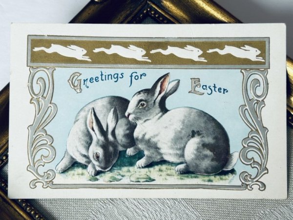 画像2: Postcard アンティークポストカード イースター  2羽の白ウサギ (未使用) (2)
