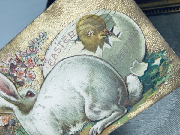 画像3: Postcard アンティークポストカード イースター  白ウサギと生まれたてのヒヨコ (3)