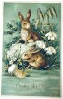 画像1: Postcard　アンティークポストカード　イースター 　ウサギとスノードロップのお花　卵 (1)