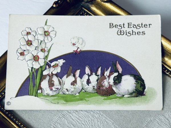 画像2: Postcard アンティークポストカード イースター  ウサギとお花 (未使用) (2)
