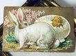 画像2: Postcard　アンティークポストカード　イースター 　白ウサギと生まれたてのヒヨコ (2)