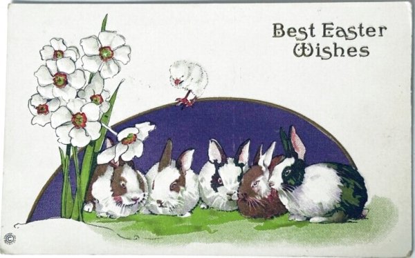 画像1: Postcard　アンティークポストカード　イースター 　ウサギとお花　（未使用） (1)