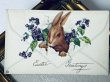 画像2: Postcard　アンティークポストカード　イースター 　封筒の中のウサギ　 (2)