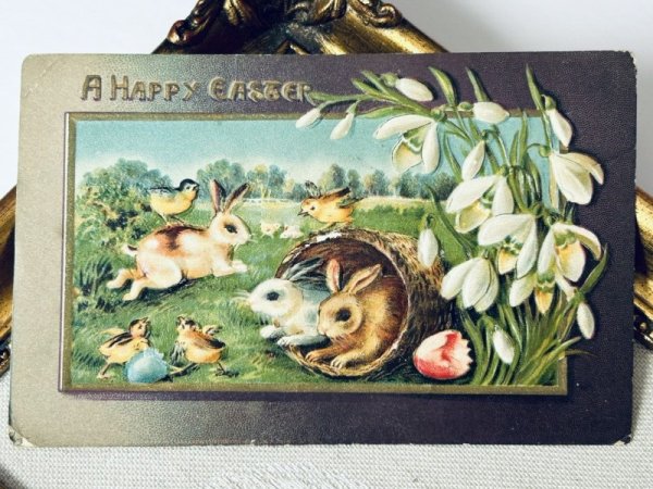画像2: Postcard アンティークポストカード イースター  野原で遊ぶウサギとヒヨコ スノードロップ (2)
