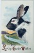 画像1: Postcard　アンティークポストカード　イースター 　パンダウサギ　アメリカ1915年 (1)