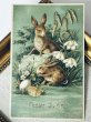 画像2: Postcard　アンティークポストカード　イースター 　ウサギとスノードロップのお花　卵 (2)