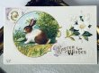 画像2: Postcard　アンティークポストカード　イースター 　ウサギとお花　カナダ1913年 (2)