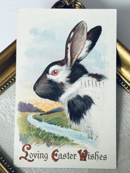 画像2: Postcard アンティークポストカード イースター  パンダウサギ アメリカ1915年 (2)