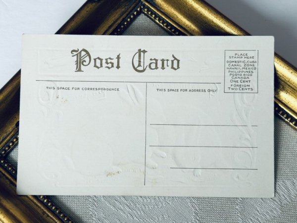 画像3: Postcard アンティークポストカード イースター  2羽の白ウサギ (未使用) (3)