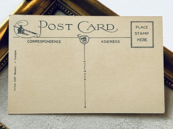 画像3: Postcard アンティークポストカード イースター  白ウサギさんと卵 スイセン アメリカ (未使用) (3)