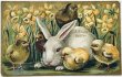 画像1: Postcard　アンティークポストカード　イースター 　ウサギとヒヨコとラッパスイセンのお花 (1)