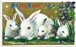 画像1: Postcard　アンティークポストカード　イースター 　白ウサギの家族　親子　スミレ (1)