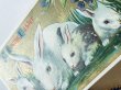 画像3: Postcard　アンティークポストカード　イースター 　白ウサギの家族　親子　スミレ (3)