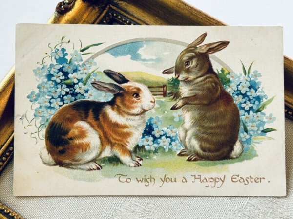 画像2: Postcard アンティークポストカード イースター  ウサギさんと忘れな草のお花 1908年 (2)